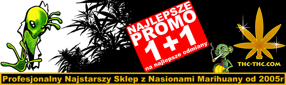 nasiona marihuany i konopi w thc-thc