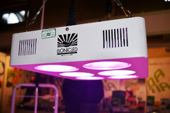 Spannabis Wystawka 18 Led panel bionicled 2