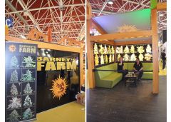 spannabis 2015 Barcelona Barney's farm