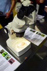 Spannabis 2015 canna wystawka mikroskopy I owady 2