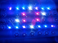 led36W