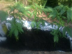 IMAG0122