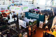 Cannafest Praga 2015 góra