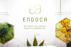ENDOCA Cbd Oil