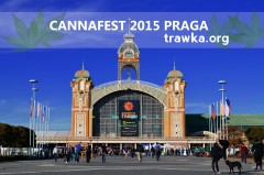 Cannafest Praga 2015 wejscie