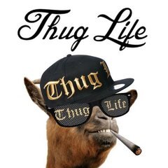 thug life