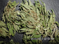 IMG 0762