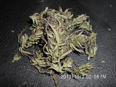 IMG 0764