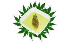 Cannabis Butter   Pot butter
