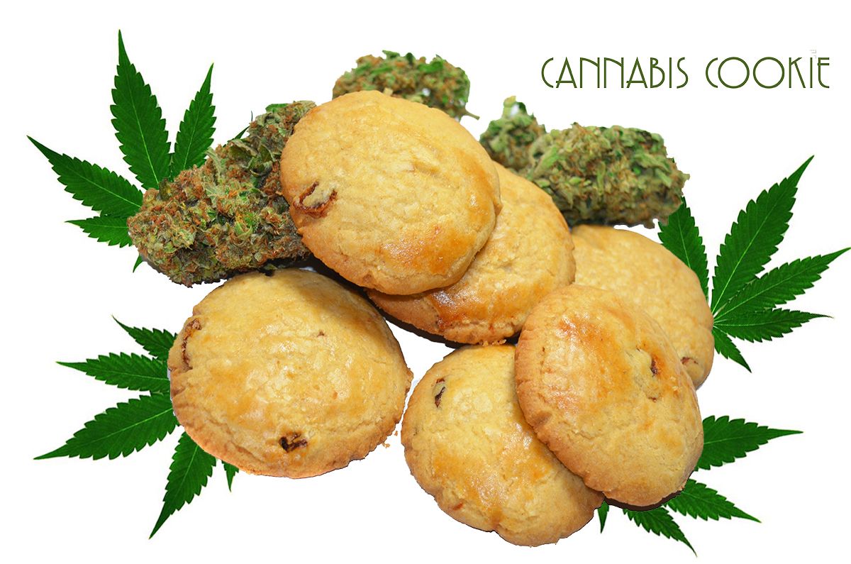 Cannabis cookie -ciasteczka z marihuana a