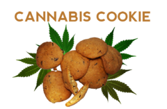 Szybkie ciasteczka konopne   Speed Cannabis Cookie A