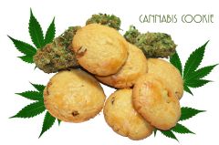 Cannabis cookie -ciasteczka z marihuana a
