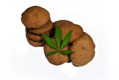 Cannabis cookie  Czekoladowe Ciastka konopne