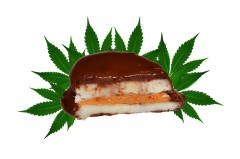 Cannabis chocolates - Czekoladki konopne - wersja fit