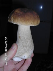 IMG 0738