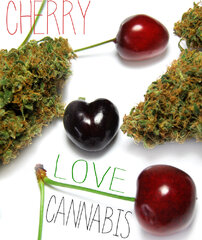 Cherry Love Cannabis