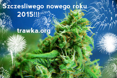 Nowy Rok 2015