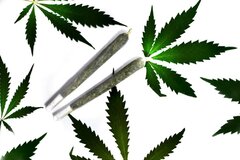 Cannabis Box joints Pot list