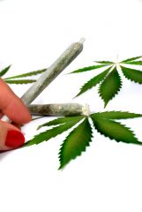 Cannabis Box joints Pot list weed trawka hemp woman hand