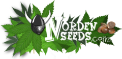 Norden Seeds Logo422