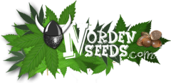 Norden Seeds Logo422