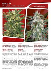 Advanced seeds page 020