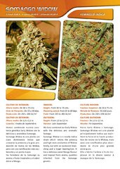 Advanced seeds page 022