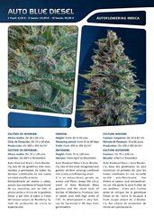 Advanced seeds page 004