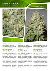 Advanced seeds page 021