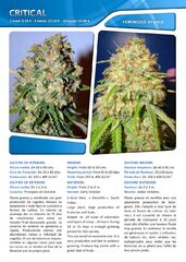 Advanced seeds page 013