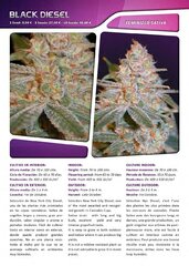 Advanced seeds page 011