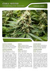 Advanced seeds page 014