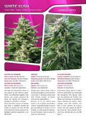 Advanced seeds page 023