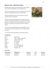 barneys farm catalog page 009