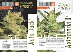 paradise seeds katalog polski page 014