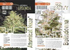 paradise seeds katalog polski page 004