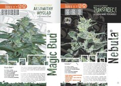 paradise seeds katalog polski page 008