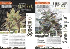 paradise seeds katalog polski page 011