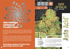 paradise seeds katalog polski page 013