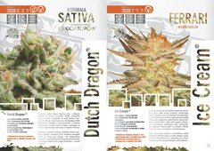 paradise seeds katalog polski page 006