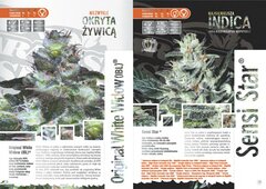 paradise seeds katalog polski page 010