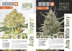 paradise seeds katalog polski page 015