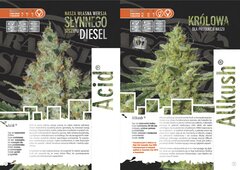 paradise seeds katalog polski page 003