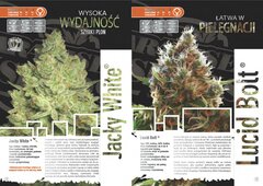 paradise seeds katalog polski page 007