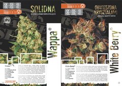 paradise seeds katalog polski page 012