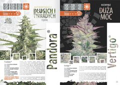 paradise seeds katalog polski page 016