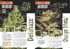 paradise seeds katalog polski page 005