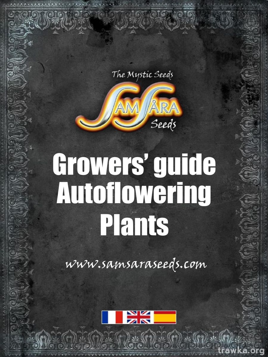 Autoflowering   Plants  Grower guide