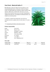 sensi seeds page 034