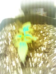 IMG 20140220 184727